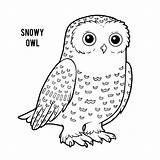 Snowy Owl Preschool Pages Coloring sketch template