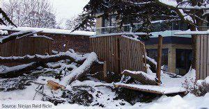 Recovering From Winter Storm Damage