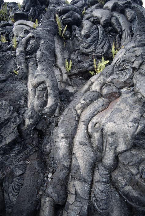 Cooled pahoehoe lava - Stock Image - E390/0362 - Science Photo Library