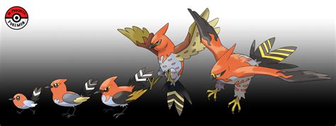 In-Progress Pokemon Evolutions | #662.5 - Fletching are friendly Pokemon who...