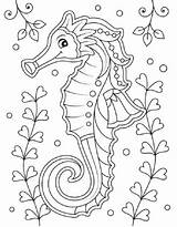 Seahorse Coloring Pages Free Printable PDF sketch template
