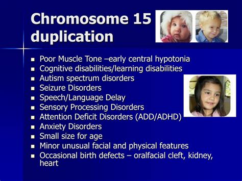 PPT - Genetic Aspects of Autism PowerPoint Presentation, free download ...