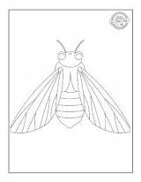 Cicada Coloring Pages For Kids Of All Ages  Activities Blog sketch template