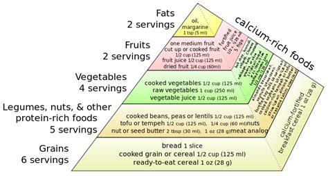 Tiedosto:Vegan food pyramid.svg – Wikipedia
