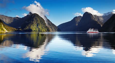 Fiordland Activities, Tours, & Things To Do | Kayak Or Cruise Doubtful Sound | Travello