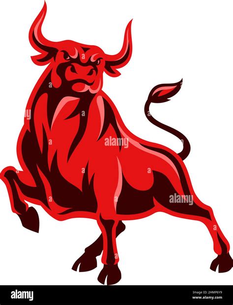 An aggressive, Strong, Muscular Bull Stock Vector Image & Art - Alamy