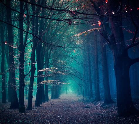 Creepy Forest Wallpapers - Top Free Creepy Forest Backgrounds - WallpaperAccess