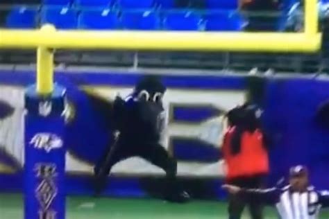 Ravens mascot appears to celebrate missed Baltimore FG | FOX Sports