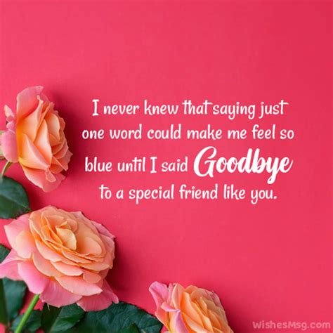 100+ Farewell Messages for Friend - Goodbye Messages (2022)