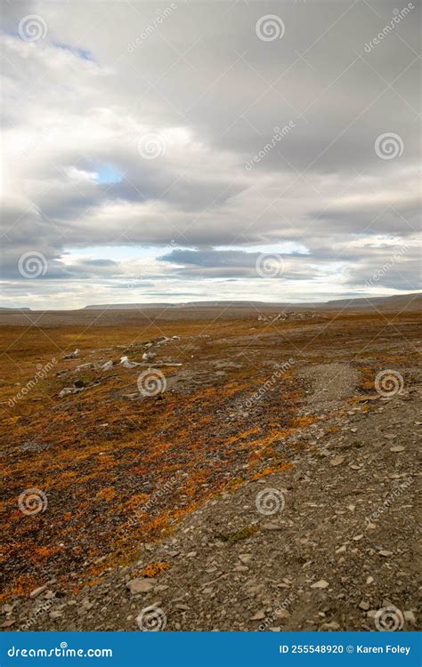 Site of Thule Ruins, Devon Island, Canada Stock Photo - Image of ...