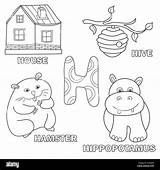 Letter H Coloring Pages For Teens sketch template