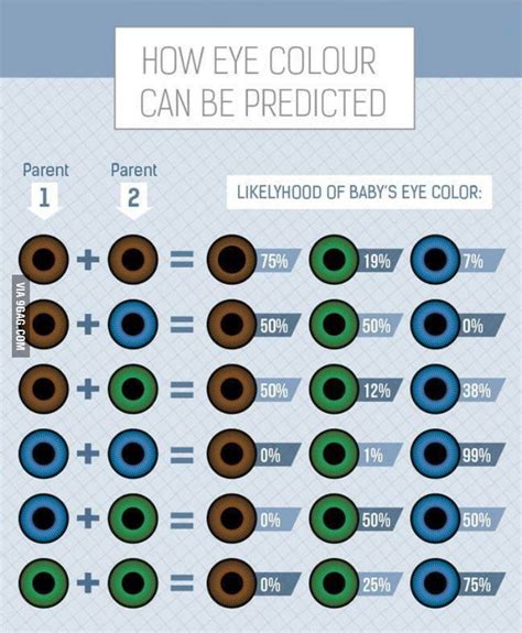 Eye color probability chart - 9GAG