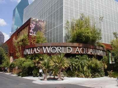 Dallas world aquarium, Dallas, Usa | Dallas world aquarium photos and ...