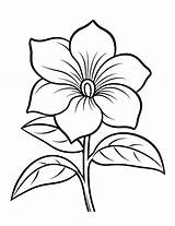 75 Flower Coloring Pages Free Printable Sheets  sketch template