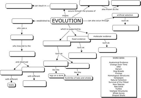 Evolution Concept Map. Great Evoltuion Worksheet. | Evolution concept map, Biology lessons ...