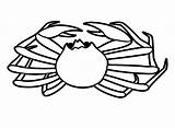 King Crab Printable Coloring Page  Free Pages sketch template