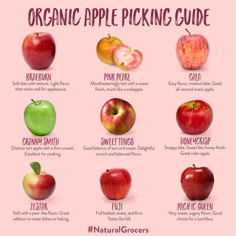 Organic Apple Picking Guide | Apple picking, Natural grocers, Apple recipes