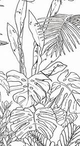 Tropical Leaves coloring Page audrey Chenal – Artofit sketch template
