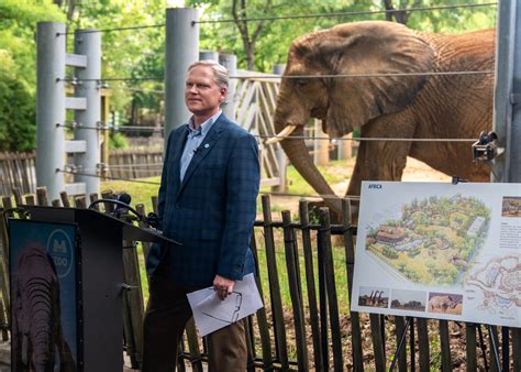 Giant Pandas Return to Berlin Zoo with Innovative New Habitat | blooloop