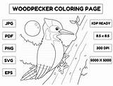 Woodpecker Animal Coloring Page For Kids Graphic By Abbydesign  sketch template