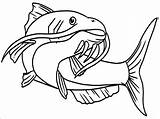 Catfish Coloring Pages  ColoringBay sketch template