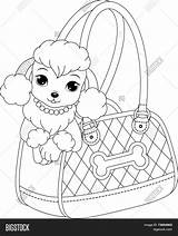 Poodle Coloring Page Vector & Photo Free Trial  Bigstock sketch template