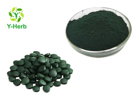 Spirulina Alga Protein 50% Herbal Extract Powder Supplement Chlorella Vulgaris Extract Powder ...