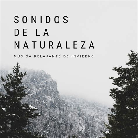 Sonidos De La Naturaleza: Música Relajante De Invierno - Album by Musica Relajante | Spotify