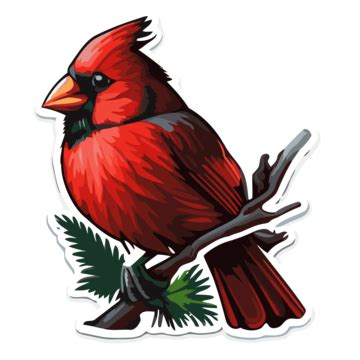 Cardinal Bird Sticker 1 Clipart Vector, Sticker Design With Cartoon Red Cardinal Isolated ...