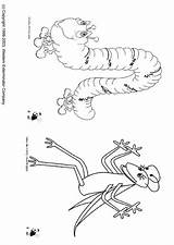 Inchworm Coloring Page sketch template