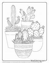 100  Succulent coloring Pages Free PDF To Print Woo Coloring sketch template