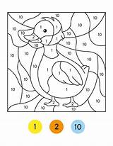Premium Vector  Color By Number Activity code For sketch template