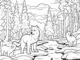 Wilderness Coloring Sheet  Page sketch template
