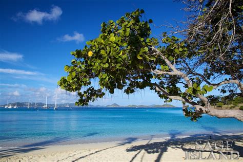 Sage Island: Caneel Bay Beach