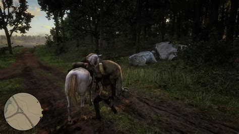 Hunting Florida Panther using predator bait and deer. : r/reddeadredemption