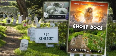 Pet Cemetery | The Inspiration behind the book | Kathleen's Blog