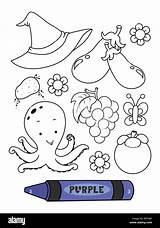 Purple Coloring Pages sketch template