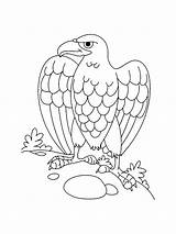 Eagle coloring Page sketch template