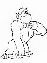 Gorilla Coloring Pages  Home sketch template