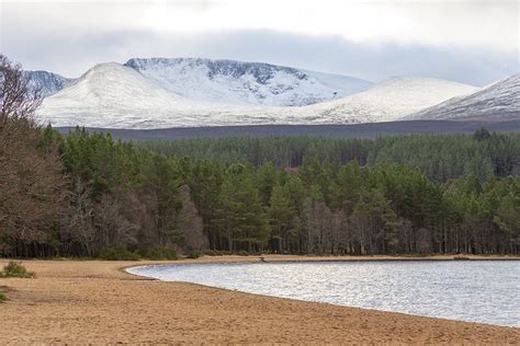 Camping in Aviemore, best campsites and wild camp locations.