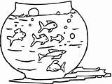 Drawing Fishes In Aquarium coloring Page  Download Print Or Color sketch template