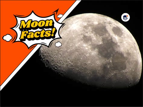 30+ Moon Facts To Expand Your Knowledge! (Free Printables)