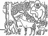Gorilla Leopard Chimpanzee And Other Animals coloring Page  Download sketch template