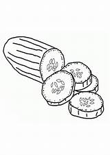Coloring Cucumber Printable Pages Vegetable Cucumbers Kids Drawing  sketch template