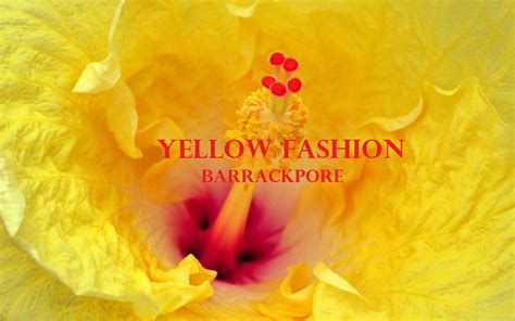 Yellow Fashion | Kolkata