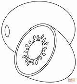 Kiwi Coloring Page  Free Printable Coloring Pages sketch template
