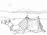 Desert coloring Pages To Download And Print For Free sketch template