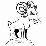 Boer Goat Coloring Pages At GetColoringscom  Free Printable Colorings sketch template