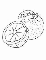 Orange Coloring Pages Free Printable PDF sketch template