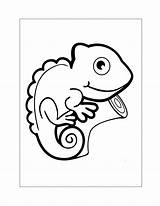 Lizard Coloring Pages – Printable FREE sketch template
